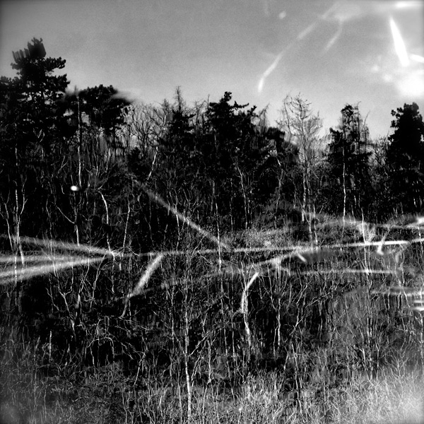 Bild von Paquita Maria Etter