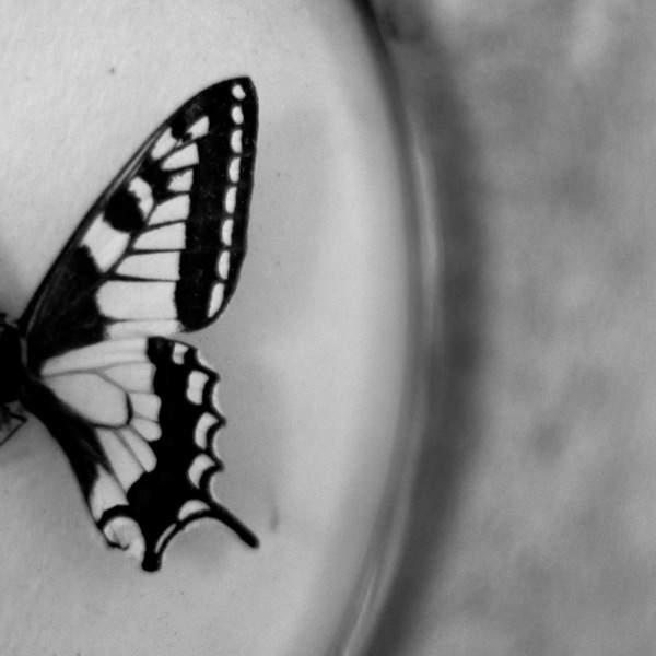 Bild von Paquita Maria Etter