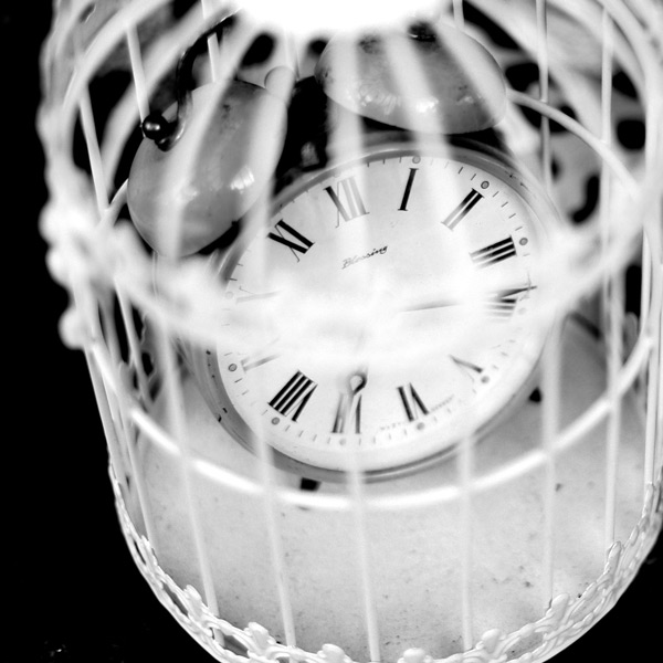 Bild von Paquita Maria Etter